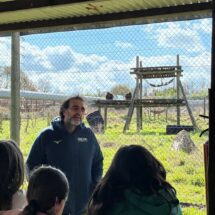 fundacio-mona-1